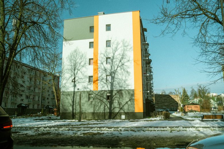 Как подобрать летнюю доминанту, чтобы сад не выглядел хаотично?